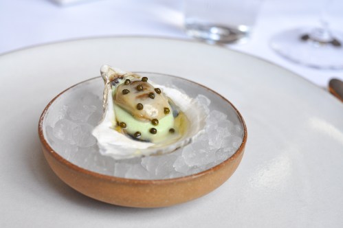 emp oyster vichyssoise caviar