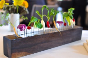 blue hill stone barns vegetables fence