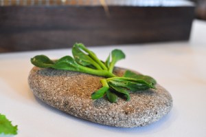 blue hill stone barns ice plant lettuce