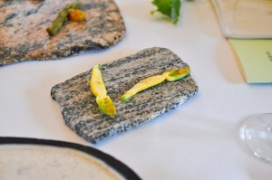 blue hill stone barns squash blossoms