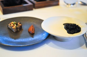 blue hill stone barns biochar