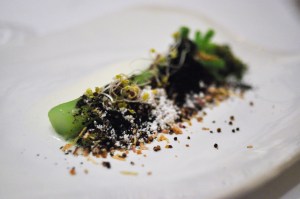 blue hill stone barns broccoli cheddar