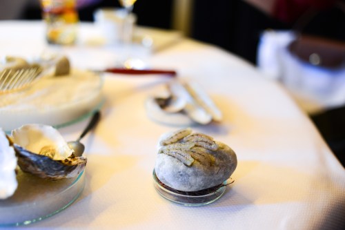 de librije dutch shrimp