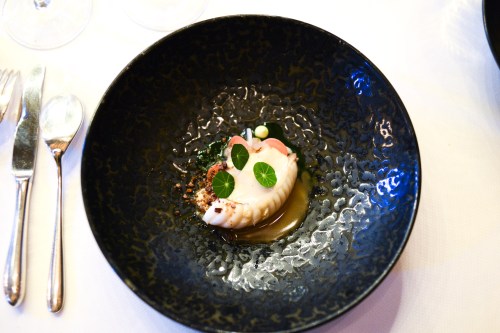 de librije monkfish