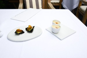 hof van cleve canapes