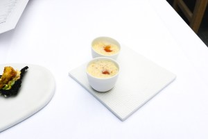 hof van cleve combava