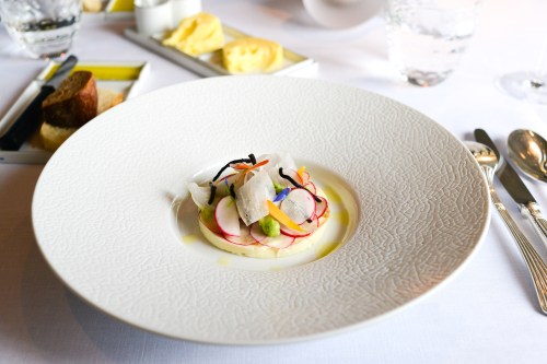 hof van cleve radish