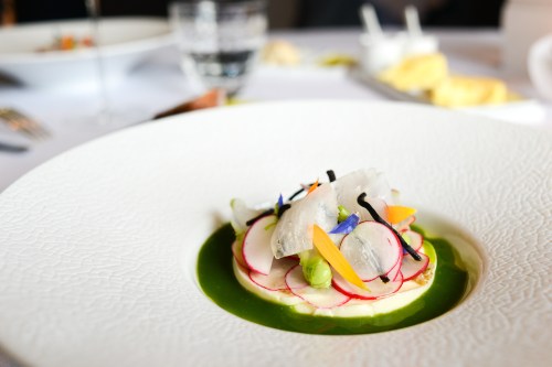 hof van cleve radish miso quinoa