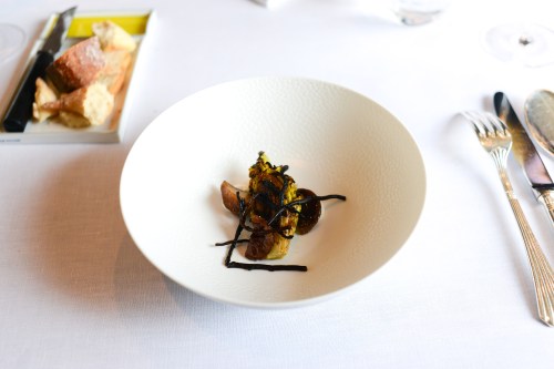 hof van cleve sucrine