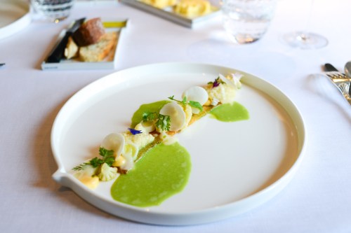 hof van cleve cauliflower