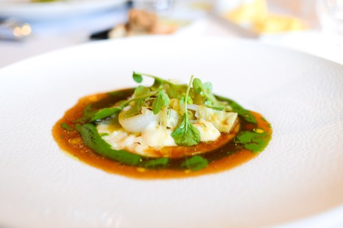 hof van cleve artichoke violet