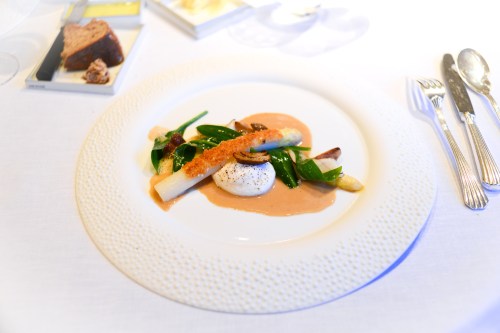 hof van cleve dune asparagus