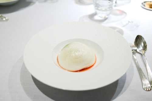 hof van cleve strawberry gariguette