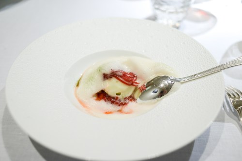 hof van cleve strawberry