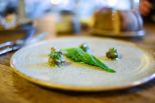 in de wulf snails goosefoot