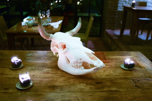 in de wulf cow skull