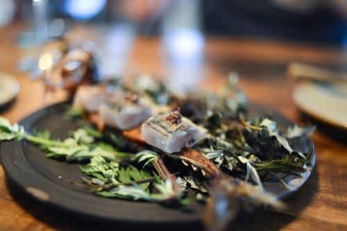 in de wulf mackerel mugwort