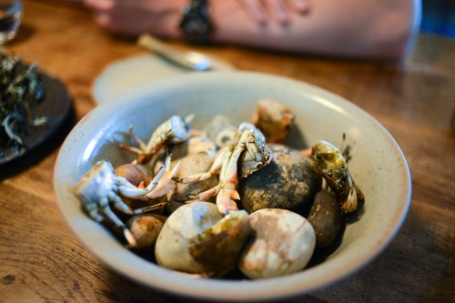 in de wulf swimmer crabs