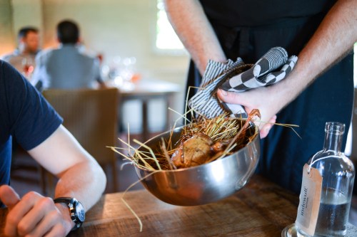 in de wulf pigeon in hay