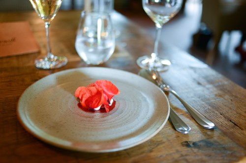 in de wulf strawberry cheese poppy